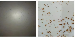 Ϳ���÷��W�P������Щ�N���οƌWʹ�ã� Ϳ���ھ�,coatingol.com